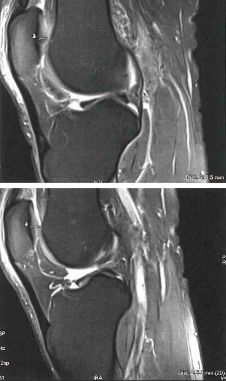 lasapienza-casostudio